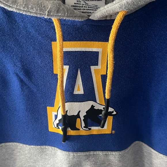 University of Alaska Fairbanks hooded sweatshirt 💙💛 - Picture 3 of 5